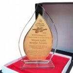 trofeos vidrio cristal otros 16