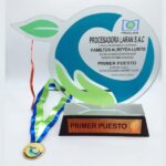 trofeos vidrio cristal otros 7